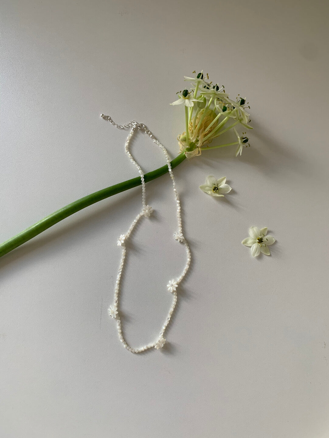 Flower Room White Oyster Necklace Earrings,Necklace,Lumivault.