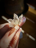 Magnolia Leather Shadow Puppet Ring,Lumivault.