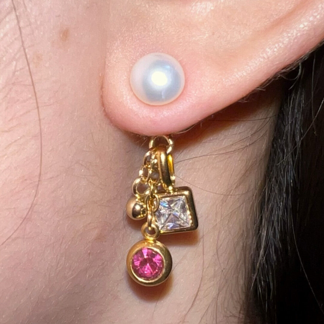 Titanium Steel Stud Earrings,Rose,Lumivault.