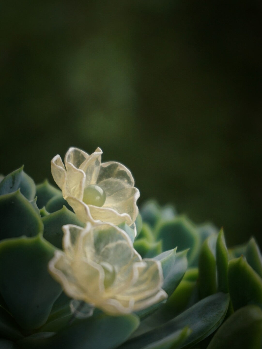 Late Rose Leather Shadow Puppet Earrings