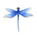 Ceramic Dragonfly Brooch,A,Lumivault.