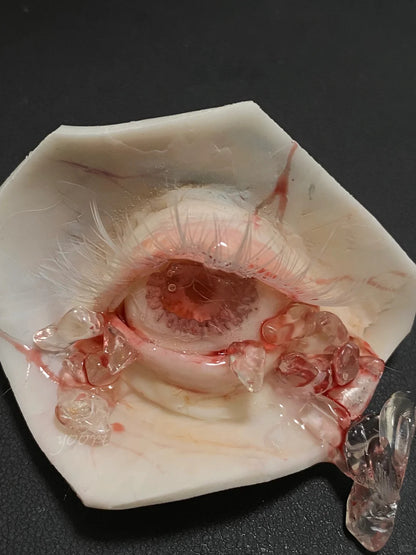 Fragmented Eye Necklace