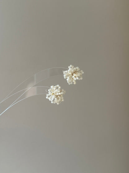 Gentle Small Flower Nacre Earrings - Lumivault