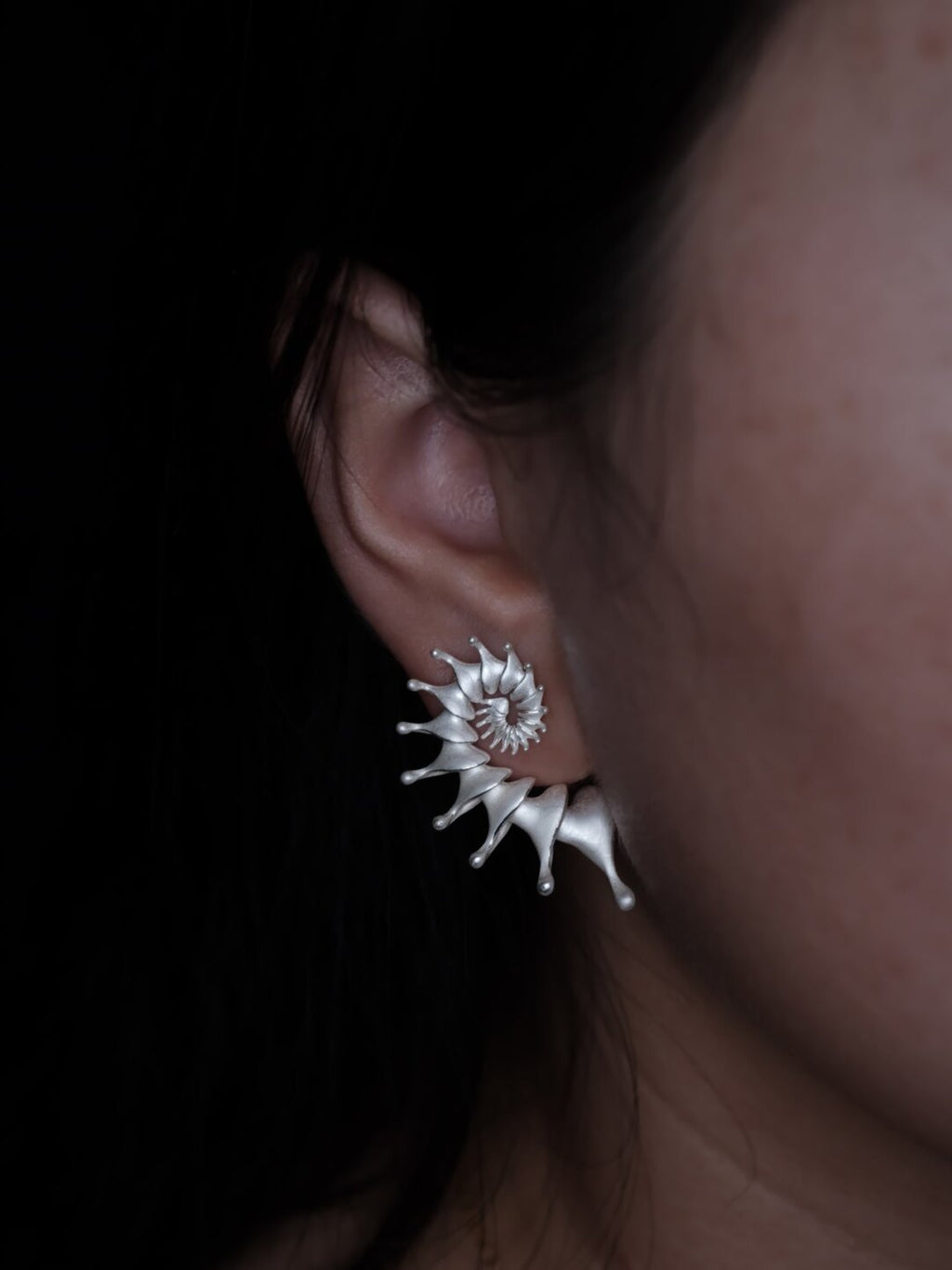 Hippocampus Silver Earrings,Single (Right) / Studs,Lumivault.