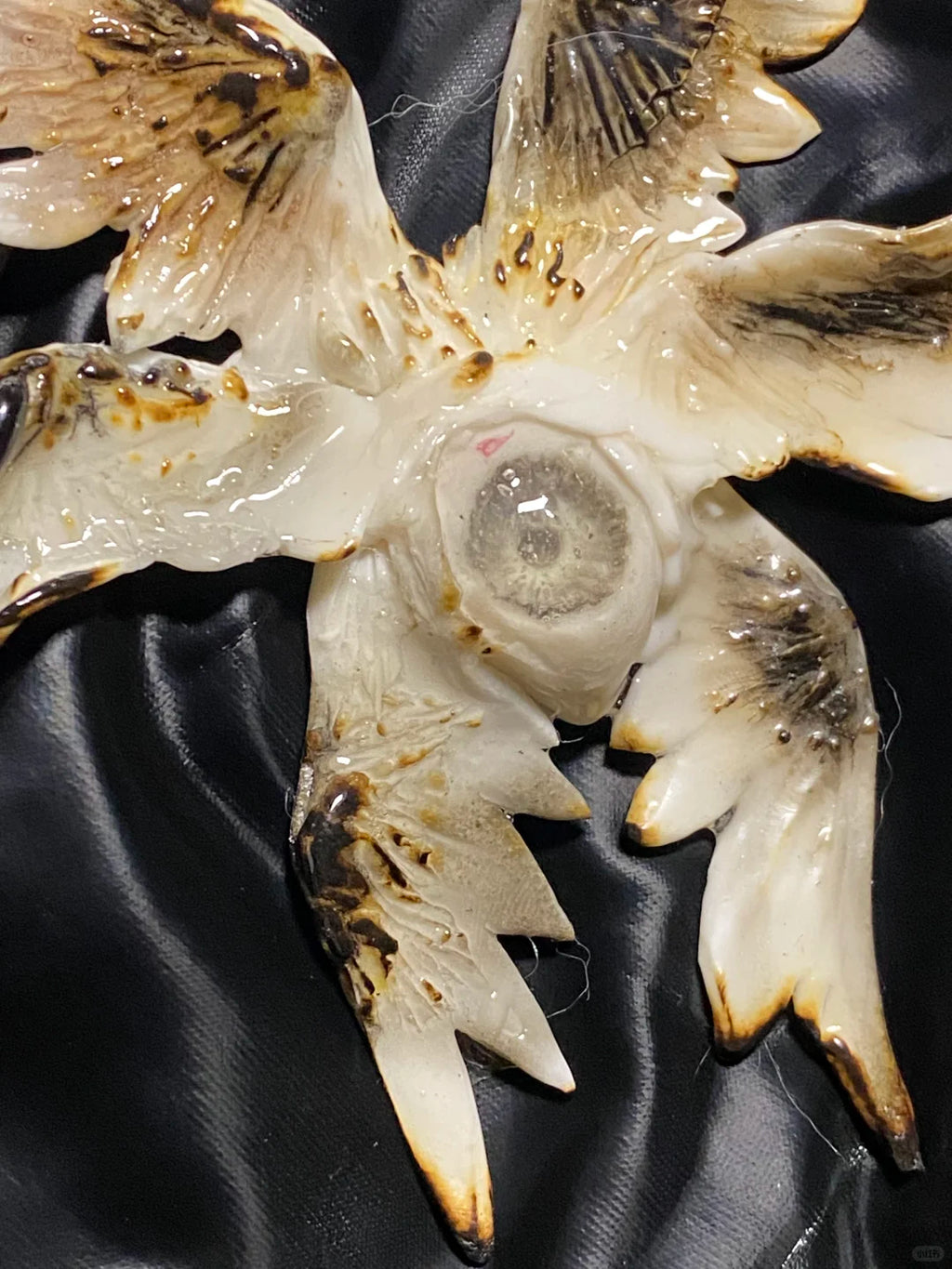 Seraphim Necklace,Lumivault.