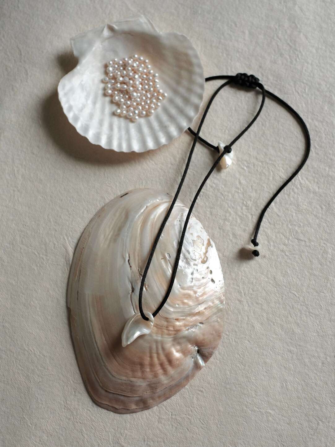Freeform Shell Necklace,Lumivault.