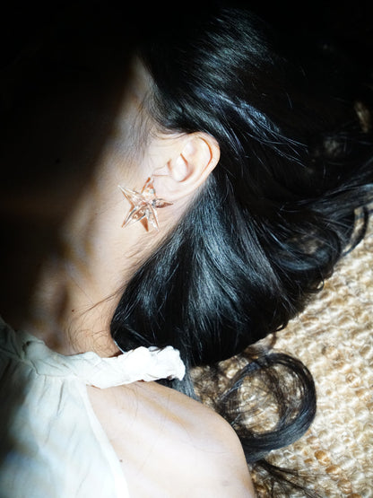 Starfish Glass Earrings